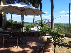 The Upper Terrace at home. Photo P Finnigan