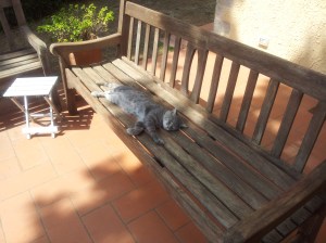 Farty Barty on Holiday