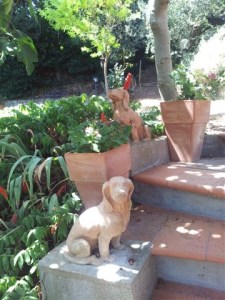 Terracotta dogs guarding the steps to the orchard. Phot P Finnigan