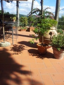 Long September shadows Upper Terrace Photo J Finnigan