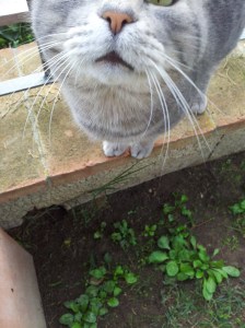 "Read my lips, I am not fat!"