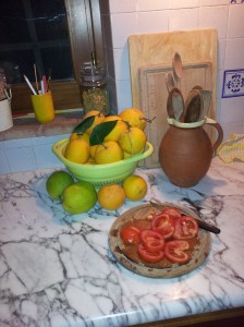 Orange harvest from the orchard. Photo P Finnigan