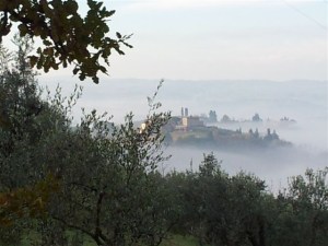 OLive trees overlooking thefog filled valleys. Photo P Finnigan