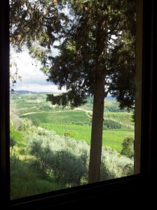 Green August countryside through our guest bedroom window. Photo J Finnigan