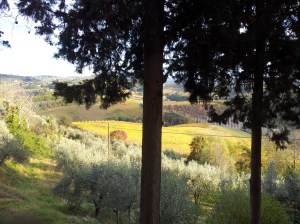 The Autumn view from here. Photo J Finnigan