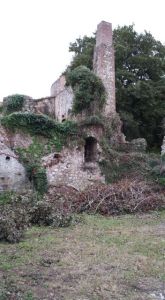 The old Mine Workings Photo P Finnigan