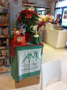 The Ant Foundation display in Laura's Bar. \photo J Finnigan