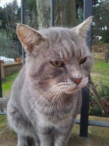 Farty Barty returns to refuel. Photo J Finnigan