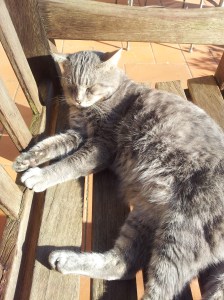 Farty Barty joins us for a pre-lunch drink. Photo J Finnigan