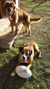 LB (standing) and Zoe after a game of rugby. Photo P Finnigan