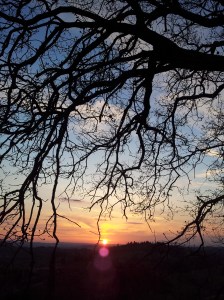 Georgeous sunset last Friday evening. Photo J Finnigan