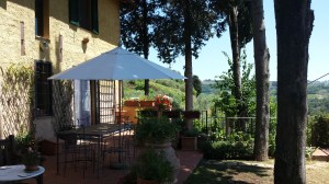 Our shady upper terrace Photo P Finnigan