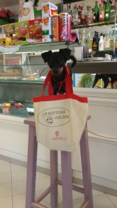 Shopping Dog in Laura's Bar/Alimentare. Photo P Finnigan