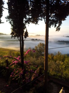 Mist filled valleys last Thursday morning. Photo J Finnigan