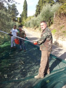 Aleesandro and his team collecting the olives next to our villa. Photo J Finnigan