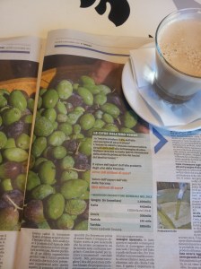 Olives and cold pressed oil. La Nazione.