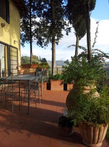 Winter sun on our terrace. Photo J Finnigan