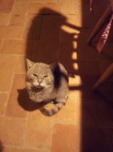 Farty Barty "I'm just popping back up tp the old house, see you in a few days.."