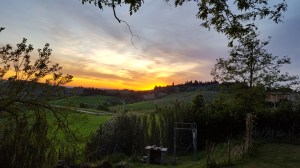 Another glorious sunset. foto P Finnigan