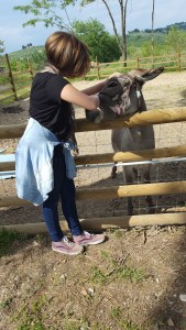 Jeffery the newly named donkey at Villa Bacio, with our granddaughter. Foto P Finnigan