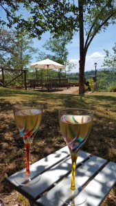 Chilled Aperitivi under the Ash Tree. Foto P Finnigan