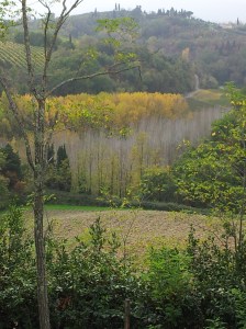 Autumn valley below our house. Foto J Finnigan