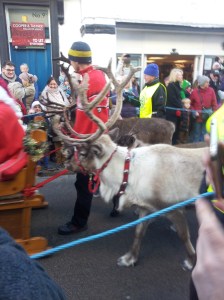 Parade of Reindeer in Wells Somerset England. Foto J Finnigan