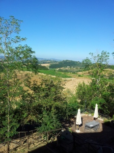 Goodmorning Tuscany june 19