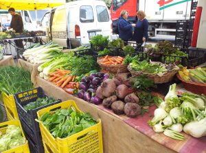 74219010_568403283921734_5820832841121923072_n