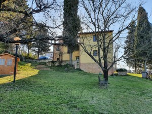 the house early morning